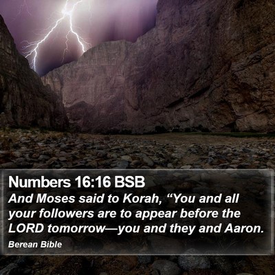 Numbers 16:16 BSB Bible Verse Image
