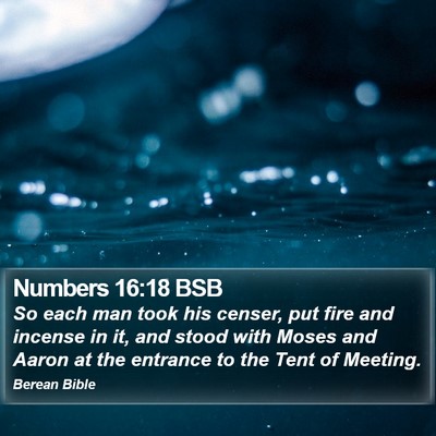Numbers 16:18 BSB Bible Verse Image