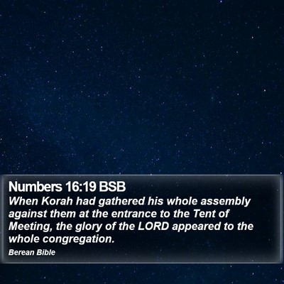 Numbers 16:19 BSB Bible Verse Image