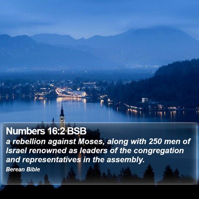 Numbers 16:2 BSB Bible Verse Image