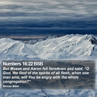 Numbers 16:22 BSB Bible Verse Image