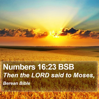 Numbers 16:23 BSB Bible Verse Image