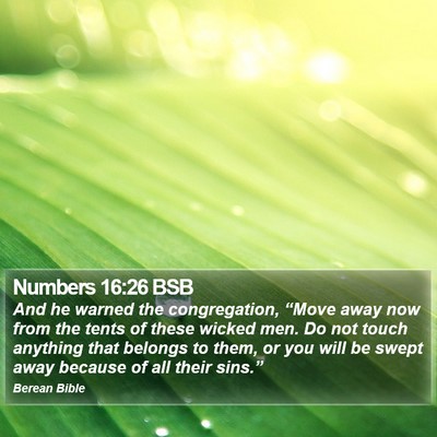 Numbers 16:26 BSB Bible Verse Image