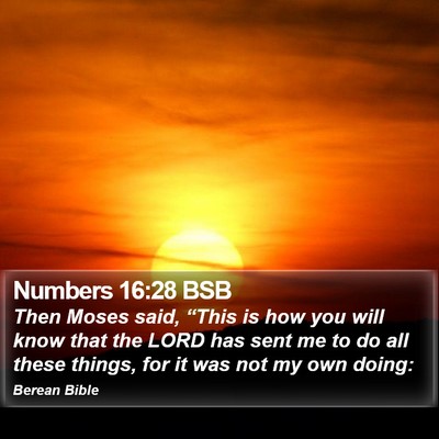 Numbers 16:28 BSB Bible Verse Image