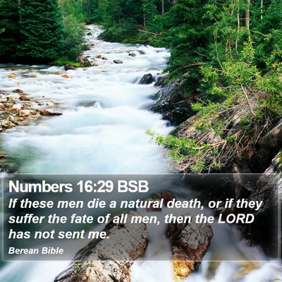 Numbers 16:29 BSB Bible Verse Image