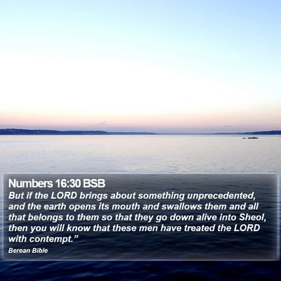 Numbers 16:30 BSB Bible Verse Image