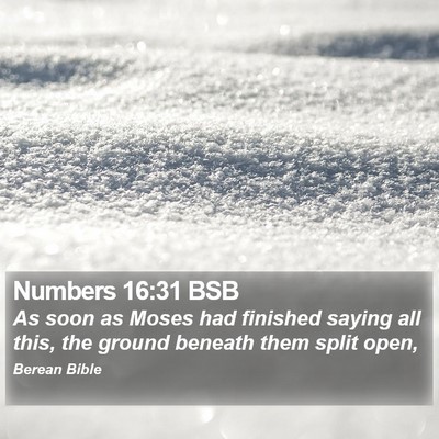 Numbers 16:31 BSB Bible Verse Image
