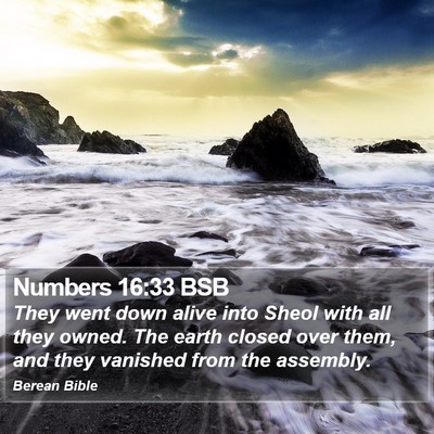 Numbers 16:33 BSB Bible Verse Image
