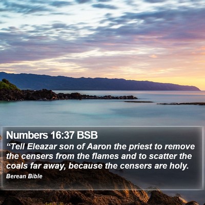 Numbers 16:37 BSB Bible Verse Image