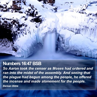 Numbers 16:47 BSB Bible Verse Image