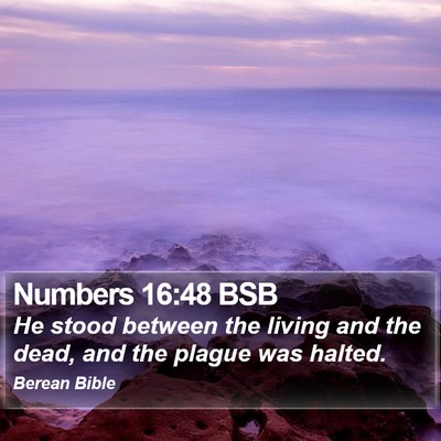 Numbers 16:48 BSB Bible Verse Image