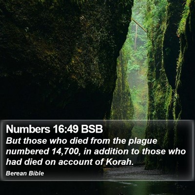 Numbers 16:49 BSB Bible Verse Image