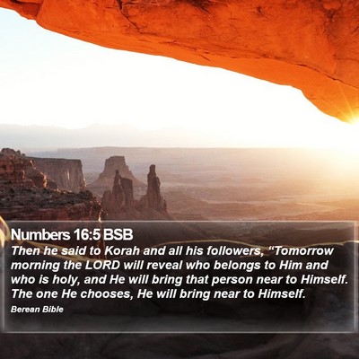 Numbers 16:5 BSB Bible Verse Image