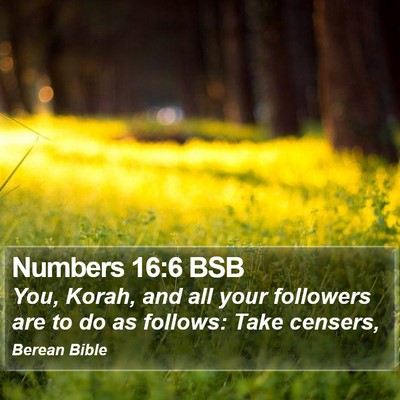 Numbers 16:6 BSB Bible Verse Image