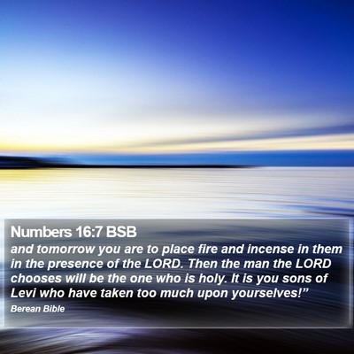 Numbers 16:7 BSB Bible Verse Image