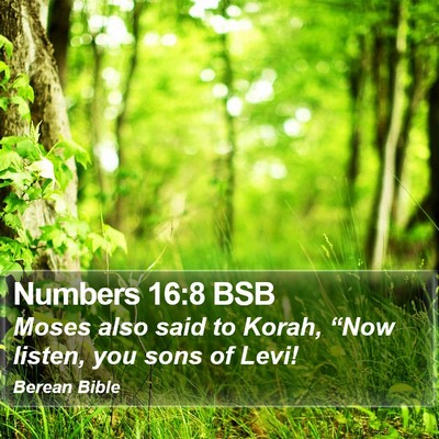 Numbers 16:8 BSB Bible Verse Image