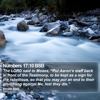 Numbers 17:10 BSB Bible Verse Image