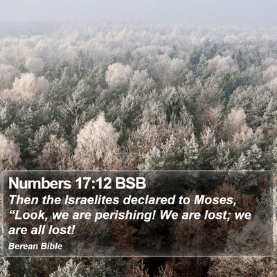 Numbers 17:12 BSB Bible Verse Image