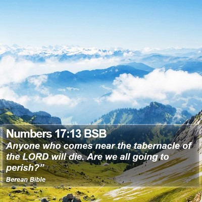 Numbers 17:13 BSB Bible Verse Image