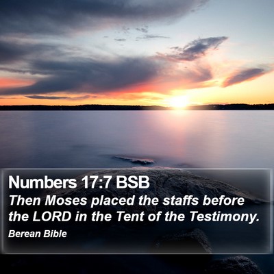 Numbers 17:7 BSB Bible Verse Image