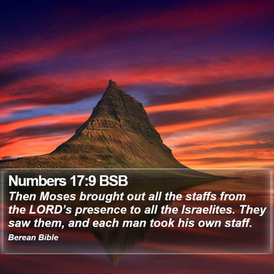 Numbers 17:9 BSB Bible Verse Image