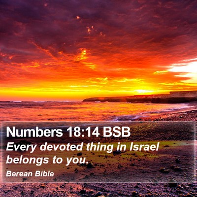 Numbers 18:14 BSB Bible Verse Image