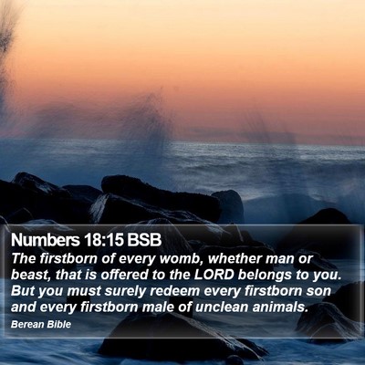 Numbers 18:15 BSB Bible Verse Image