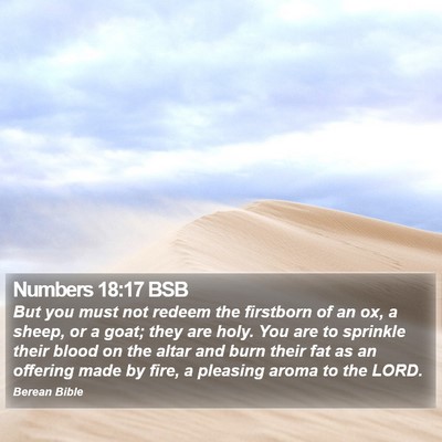 Numbers 18:17 BSB Bible Verse Image