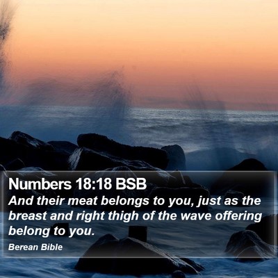 Numbers 18:18 BSB Bible Verse Image