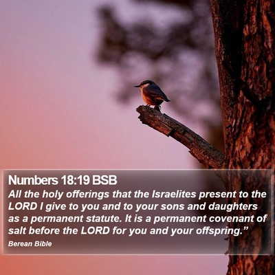 Numbers 18:19 BSB Bible Verse Image