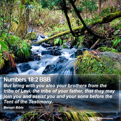 Numbers 18:2 BSB Bible Verse Image