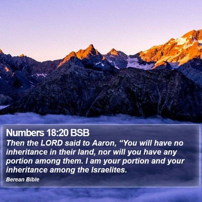 Numbers 18:20 BSB Bible Verse Image