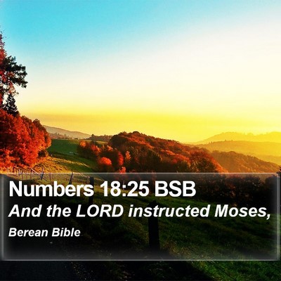 Numbers 18:25 BSB Bible Verse Image