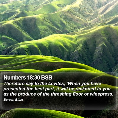 Numbers 18:30 BSB Bible Verse Image