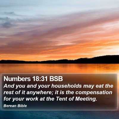 Numbers 18:31 BSB Bible Verse Image
