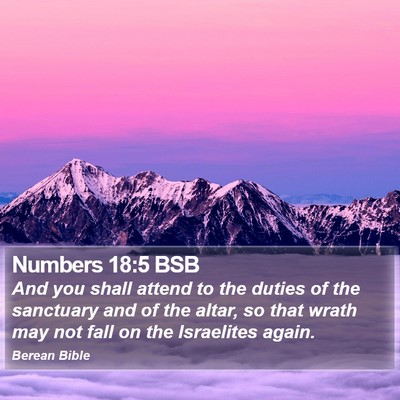 Numbers 18:5 BSB Bible Verse Image