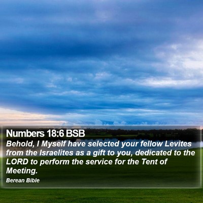 Numbers 18:6 BSB Bible Verse Image
