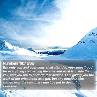 Numbers 18:7 BSB Bible Verse Image