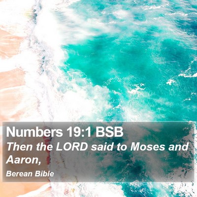 Numbers 19:1 BSB Bible Verse Image