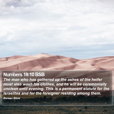 Numbers 19:10 BSB Bible Verse Image