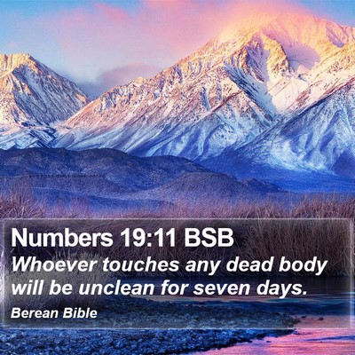 Numbers 19:11 BSB Bible Verse Image