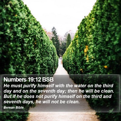 Numbers 19:12 BSB Bible Verse Image