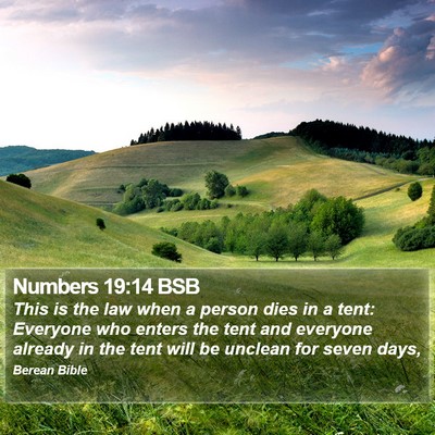 Numbers 19:14 BSB Bible Verse Image