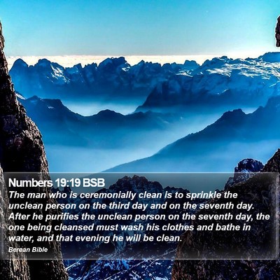 Numbers 19:19 BSB Bible Verse Image