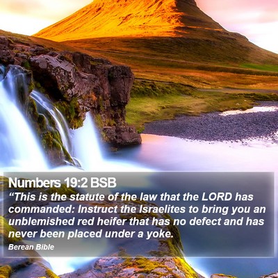 Numbers 19:2 BSB Bible Verse Image