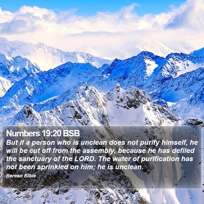 Numbers 19:20 BSB Bible Verse Image