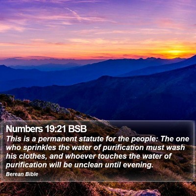 Numbers 19:21 BSB Bible Verse Image
