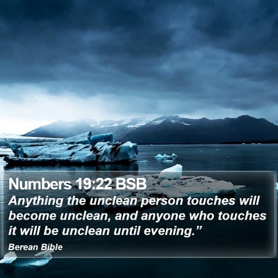 Numbers 19:22 BSB Bible Verse Image