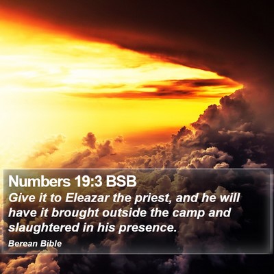 Numbers 19:3 BSB Bible Verse Image