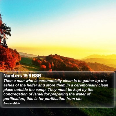 Numbers 19:9 BSB Bible Verse Image